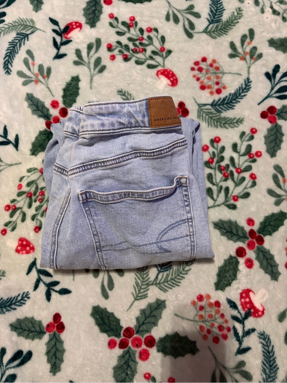 American Eagle Outfitters Light Wash Denim Jeans - Pale Blue